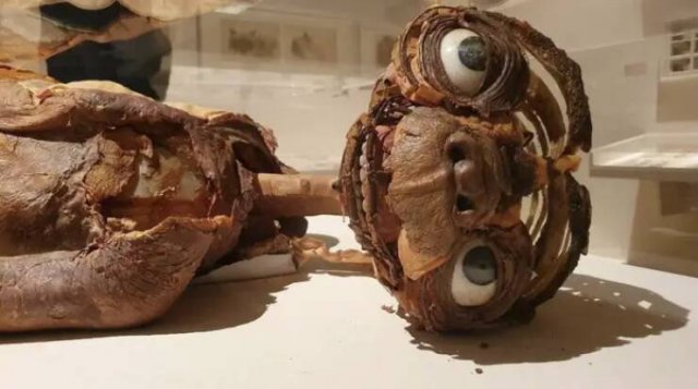 Fascinating Finds (24 pics)