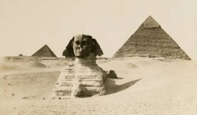 Fascinating Finds (24 pics)