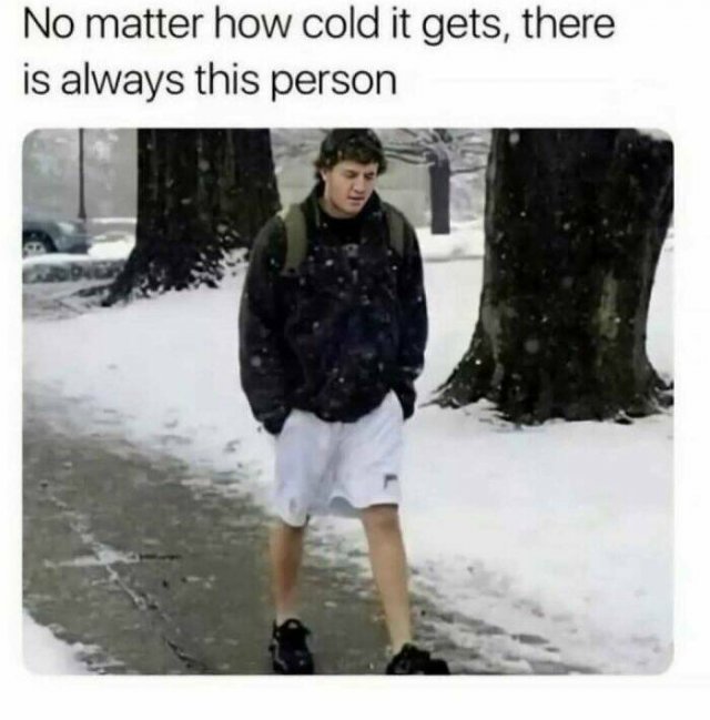 Funny Memes (20 pics)