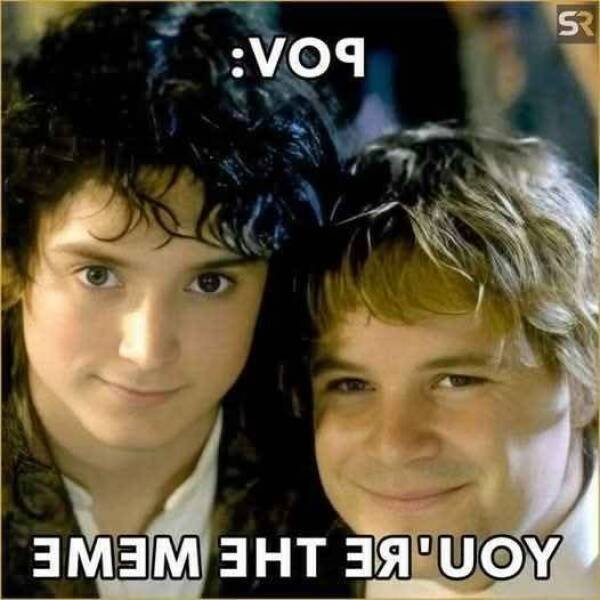 Memes For ''The Lord Of The Rings Fans'' (20 pics)
