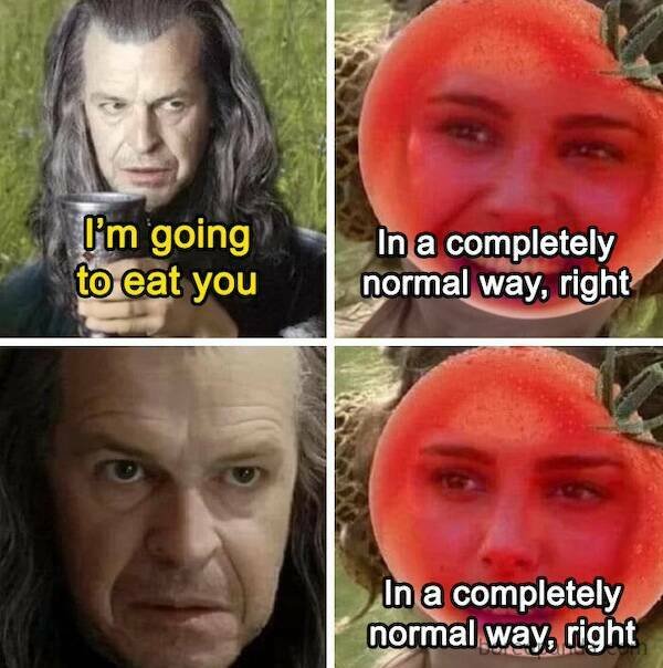 Memes For ''The Lord Of The Rings Fans'' (20 pics)