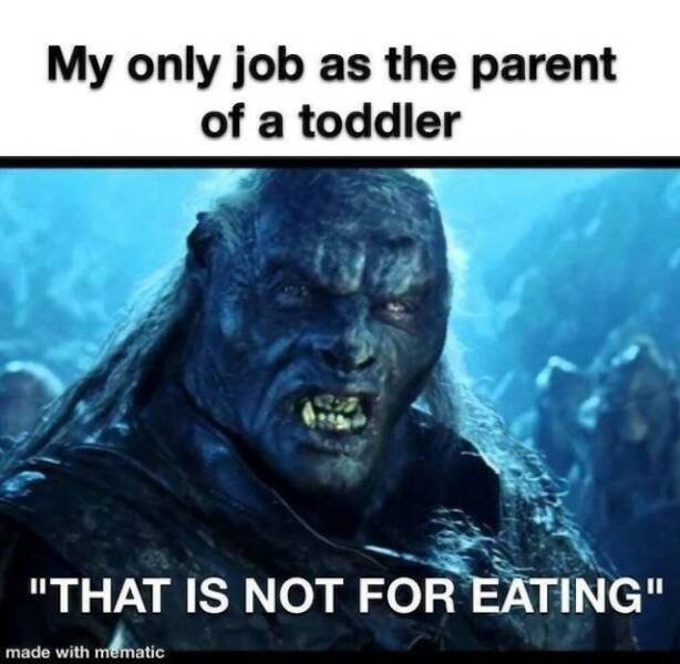 Memes For ''The Lord Of The Rings Fans'' (20 pics)