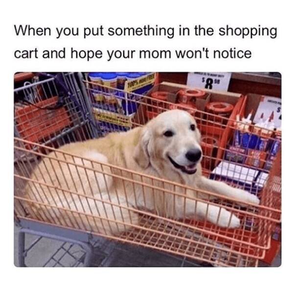 Jokes About Shopping (16 pics)