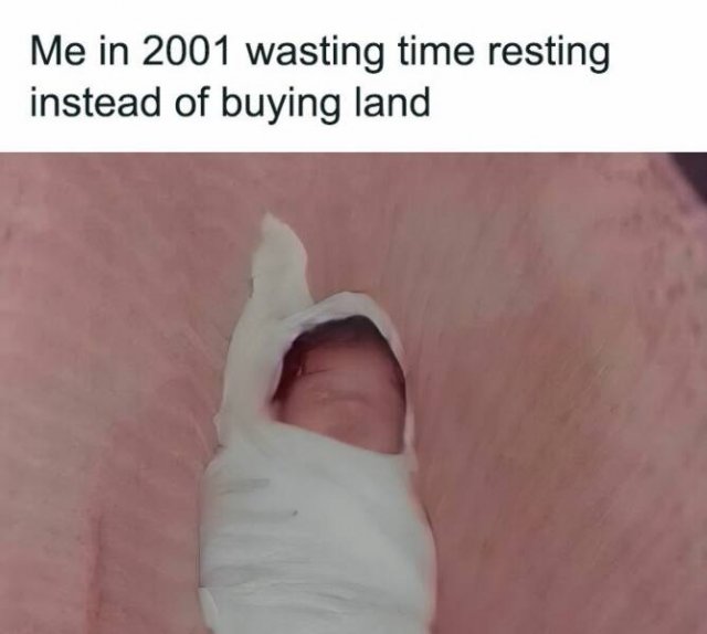 Funny Memes (20 pics)