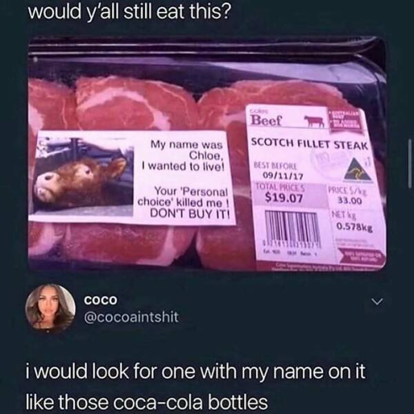 Funny Memes (20 pics)