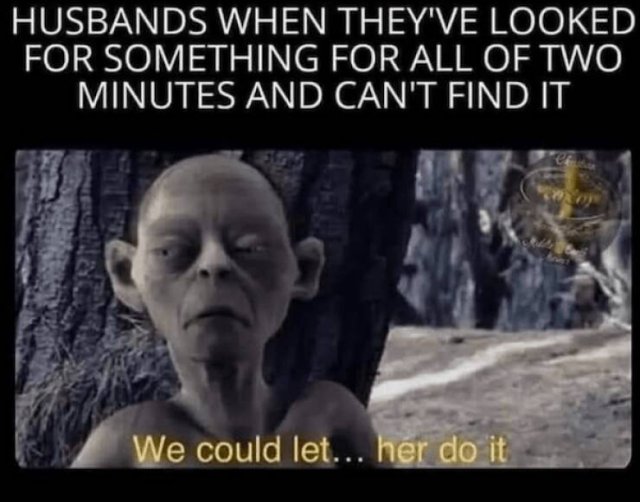 Memes For ''The Lord Of The Rings Fans'' (20 pics)