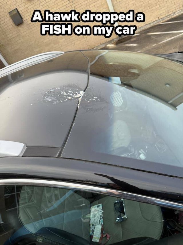 Bad Days Happen (22 pics)