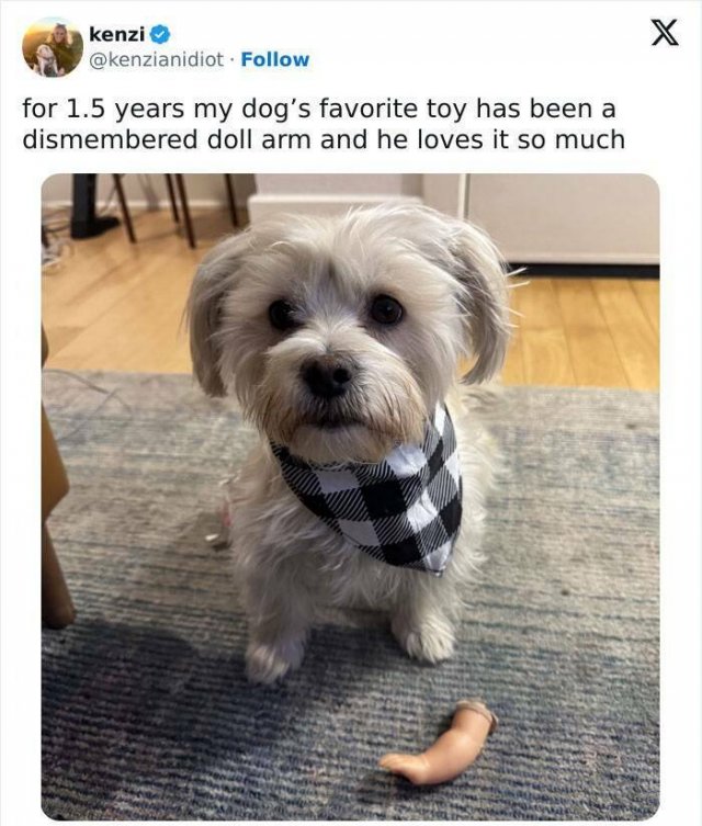 Hilarious Tweets (23 pics)