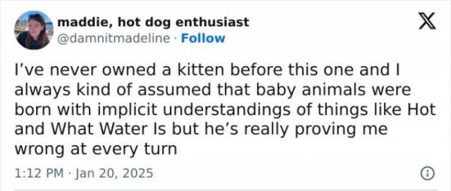 Hilarious Tweets (23 pics)