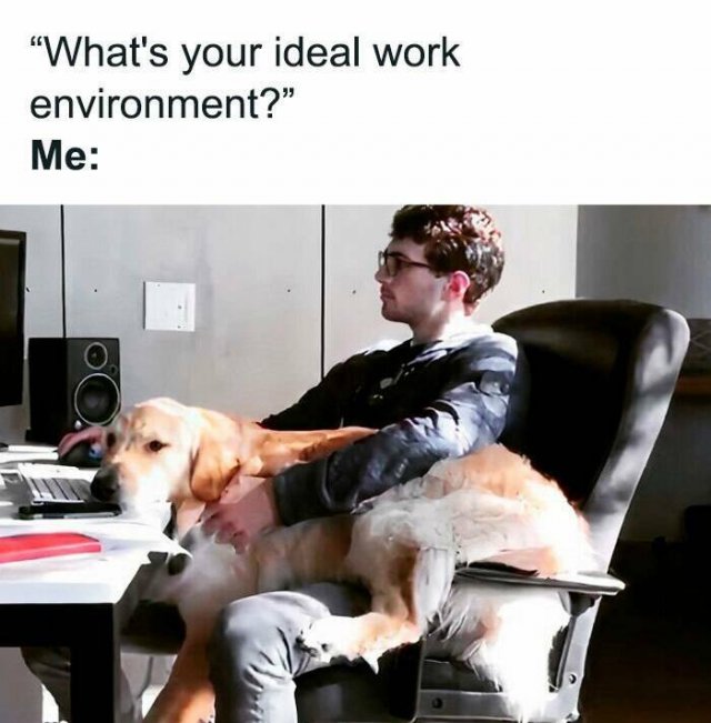 Memes For Office Employees (22 pics)