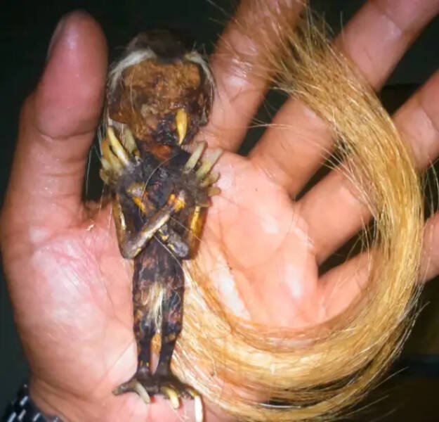 The Creepiest Things People Have At Home (24 pics)