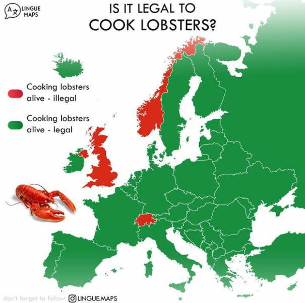 Interesting Maps (27 pics)