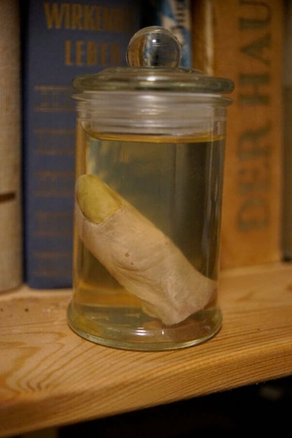The Creepiest Things People Have At Home (24 pics)
