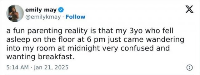 Truthful Parenting Tweets (25 pics)