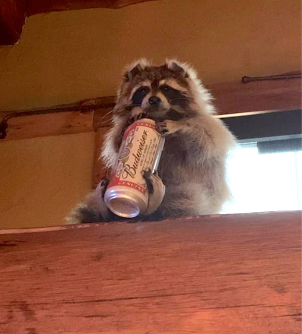 What Is Going On Here? (37 pics)