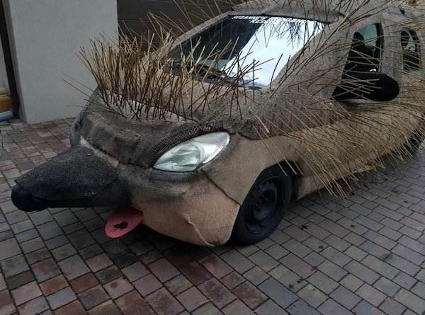 Crazy Tuning (42 pics)