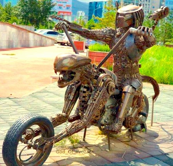 What Is Going On Here? (37 pics)