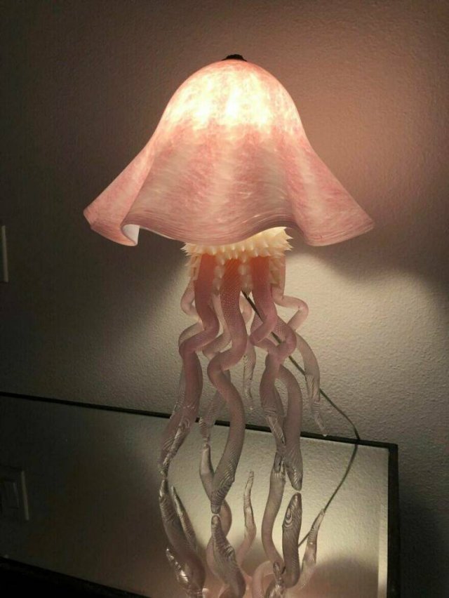 Odd Finds In Thrift Shops (26 pics)