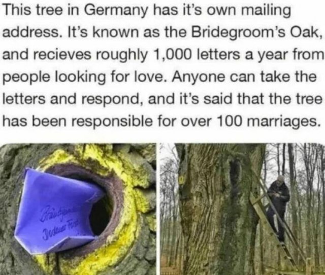 Kind Jokes And Stories (24 pics)