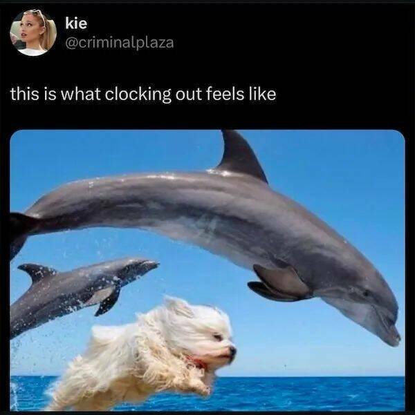 Kind Jokes And Stories (24 pics)