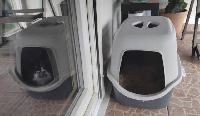 Glitches In The Matrix (25 pics)