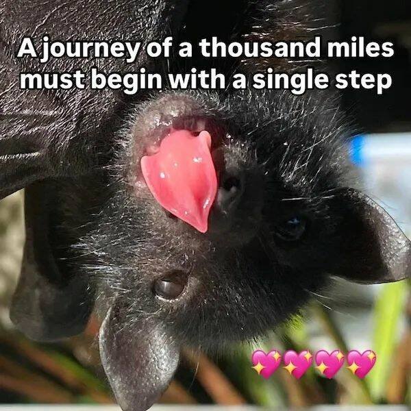 Kind Jokes And Stories (24 pics)