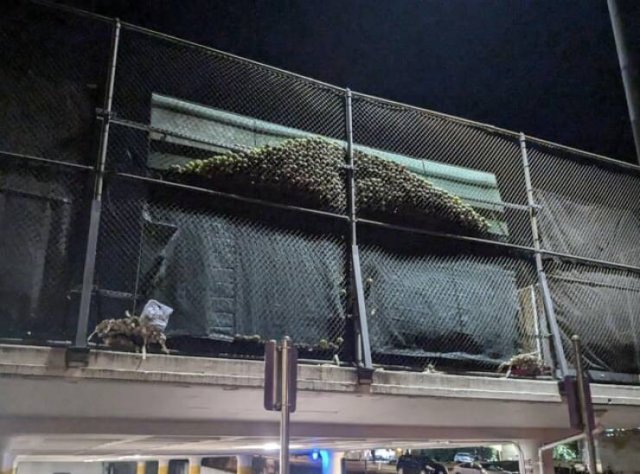 Interesting And Unusual Finds (20 pics)