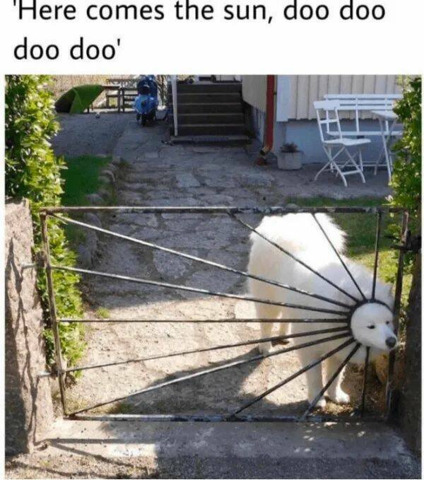 Kind Jokes And Stories (24 pics)