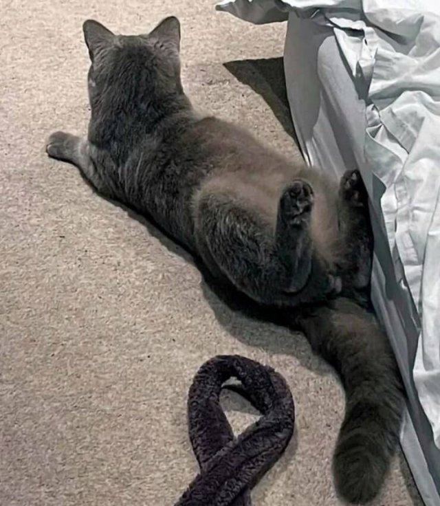 Glitches In The Matrix (25 pics)
