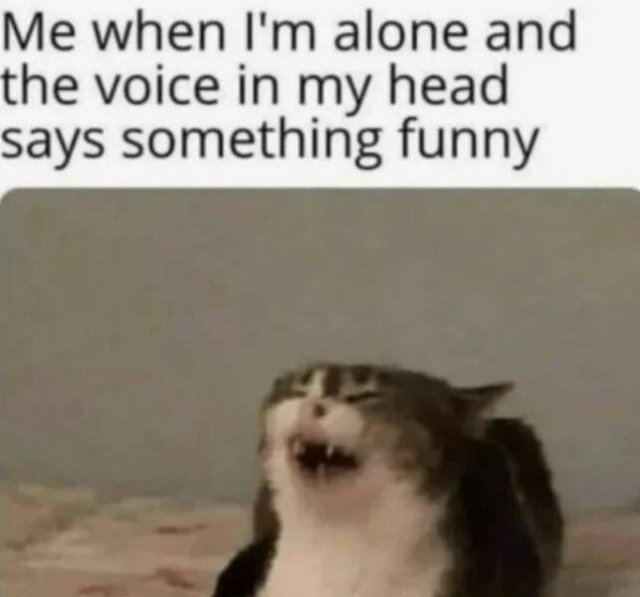 Kind Jokes And Stories (24 pics)