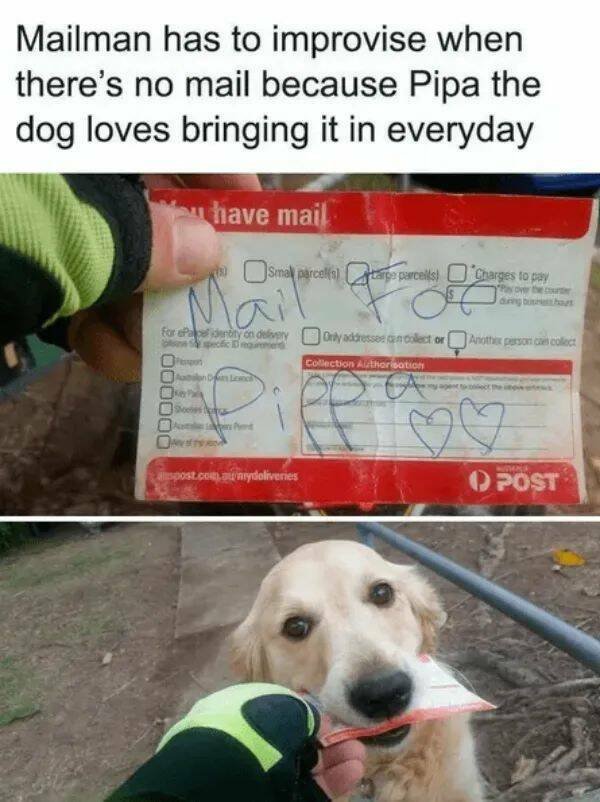 Kind Jokes And Stories (24 pics)