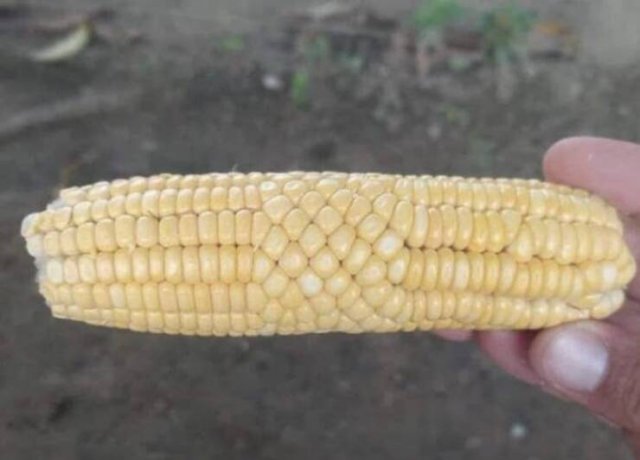 Glitches In The Matrix (25 pics)