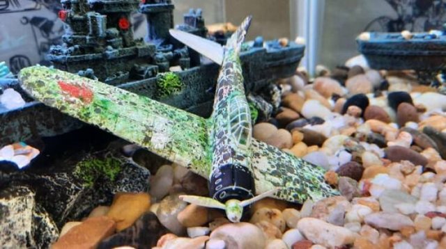 Interesting And Unusual Finds (20 pics)