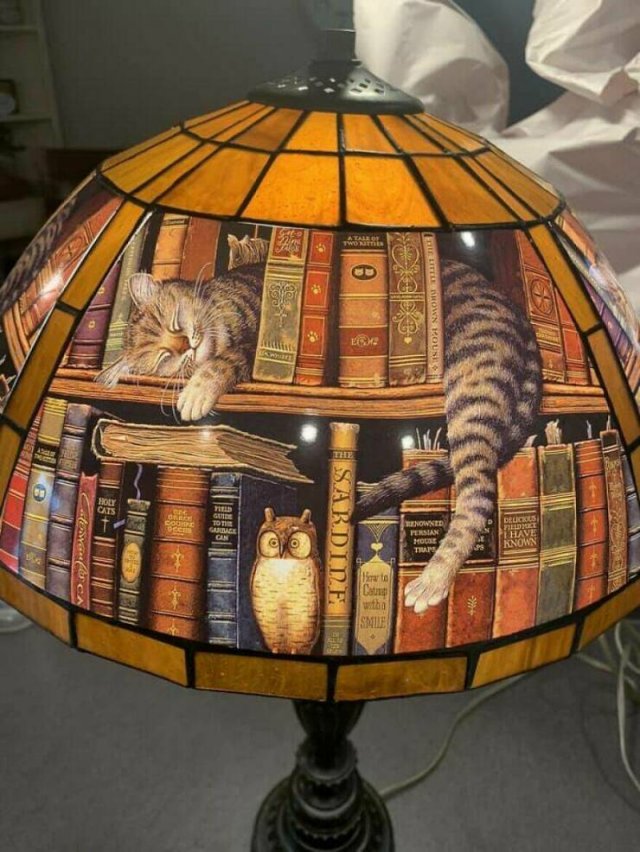 Odd Finds In Thrift Shops (26 pics)