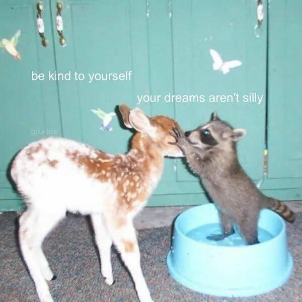 Kind Jokes And Stories (24 pics)