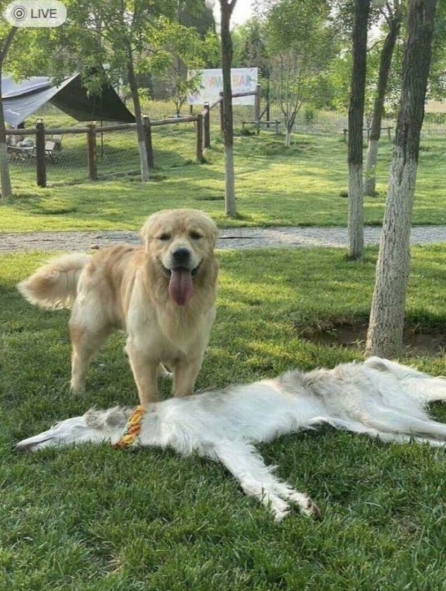 Glitches In The Matrix (25 pics)
