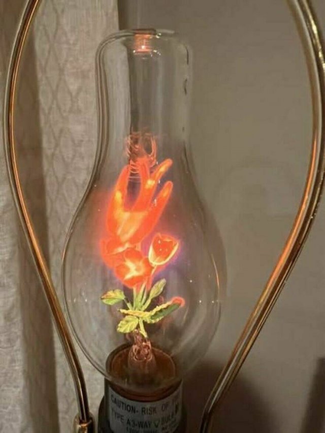 Odd Finds In Thrift Shops (26 pics)
