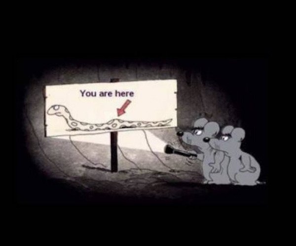 Funny Memes (21 pics)