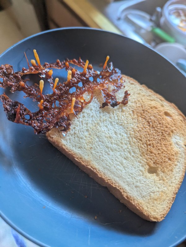 Really Weird Dishes (24 pics)