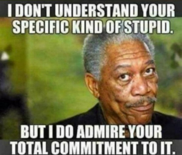 Funny Memes (21 pics)