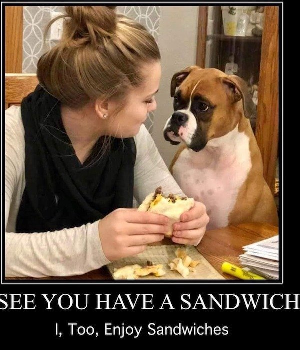 Funny Memes (21 pics)