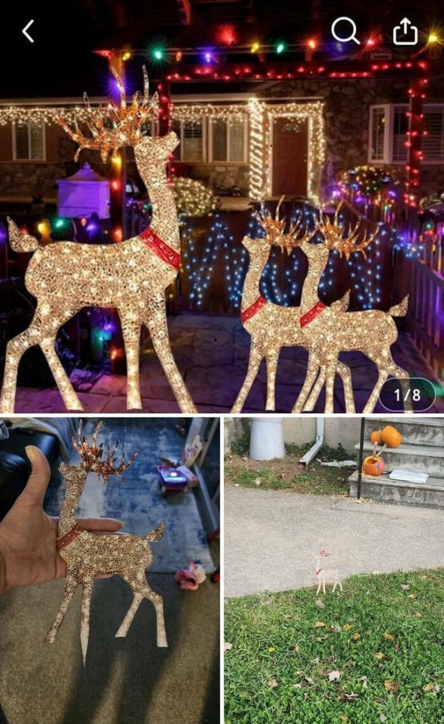 Failed Online Shopping (25 pics)