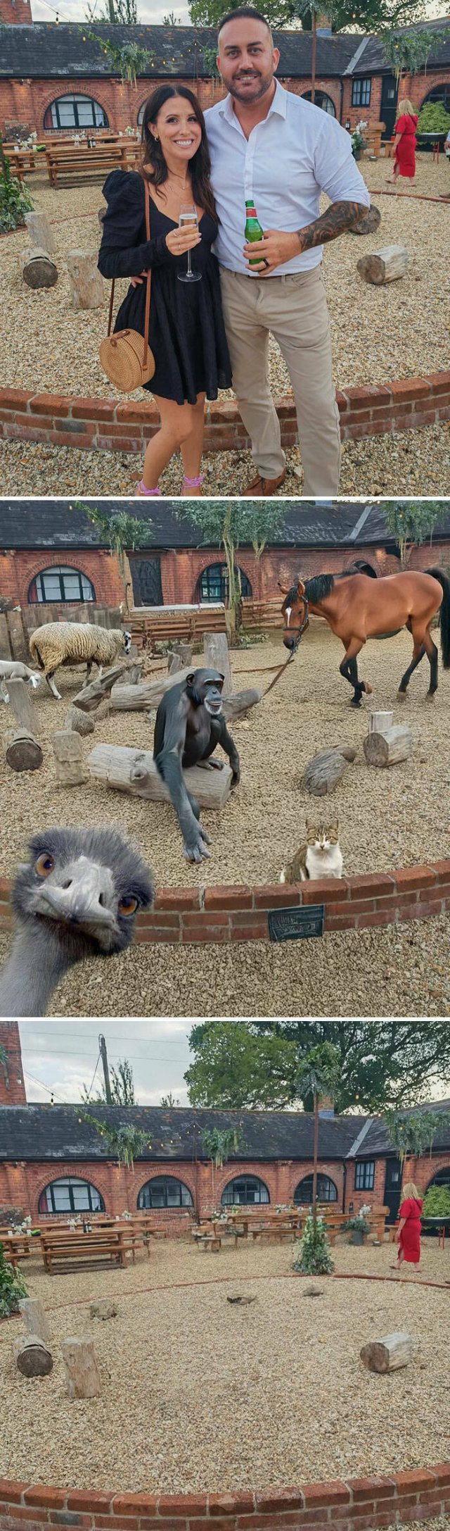 Funny Photoshop (29 pics)