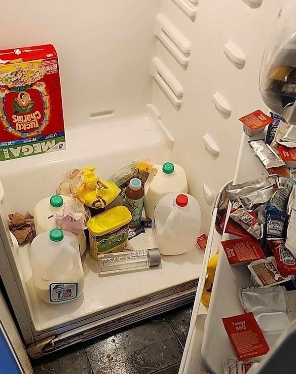 Cool Bachelor Refrigerators (20 pics)