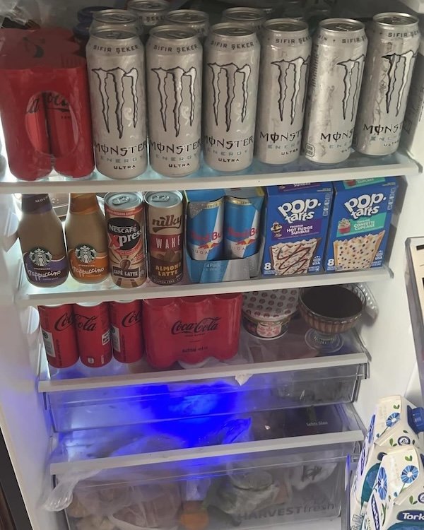 Cool Bachelor Refrigerators (20 pics)