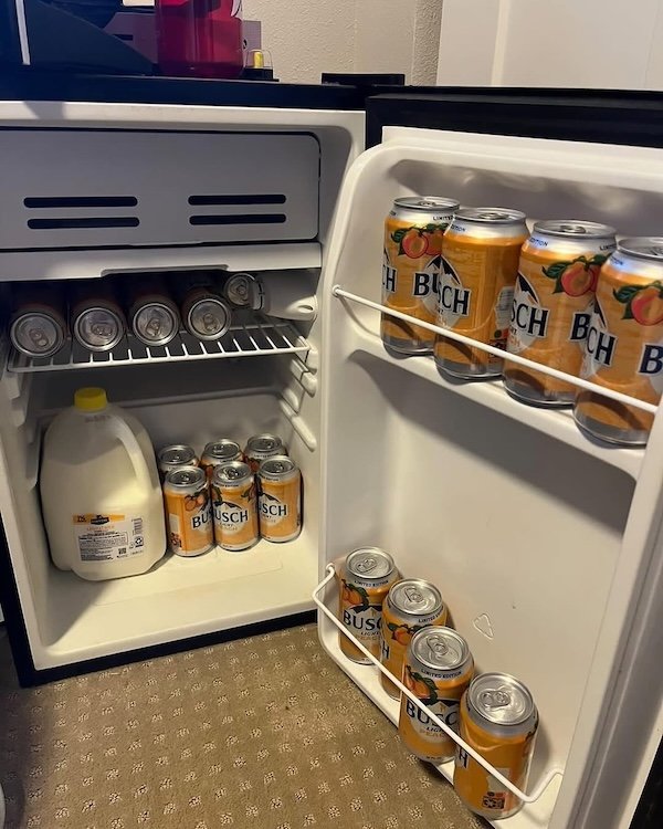 Cool Bachelor Refrigerators (20 pics)