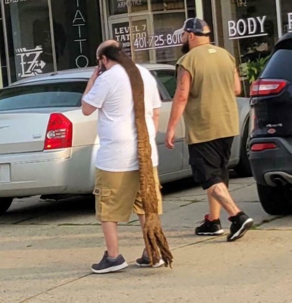 Not Very Smart People (29 pics)