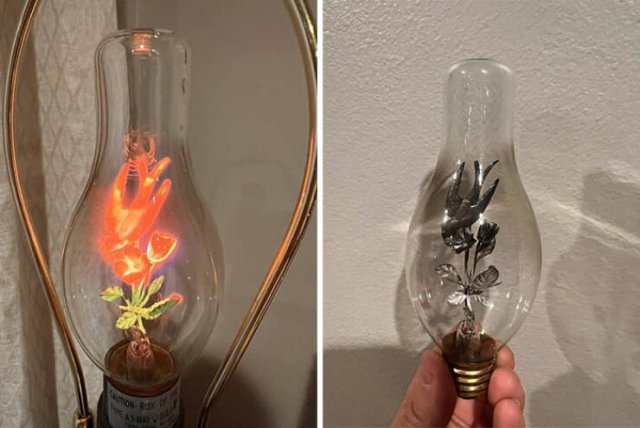Cool Finds In Thrift Shops (24 pics)