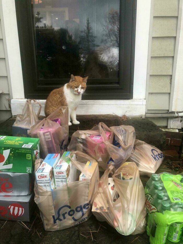 Funny Stories From Sellers And Buyers (24 pics)