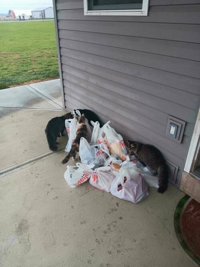 Funny Stories From Sellers And Buyers (24 pics)